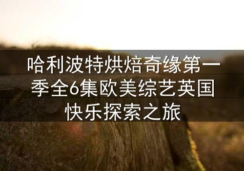 哈利波特烘焙奇缘第一季全6集欧美综艺英国快乐探索之旅