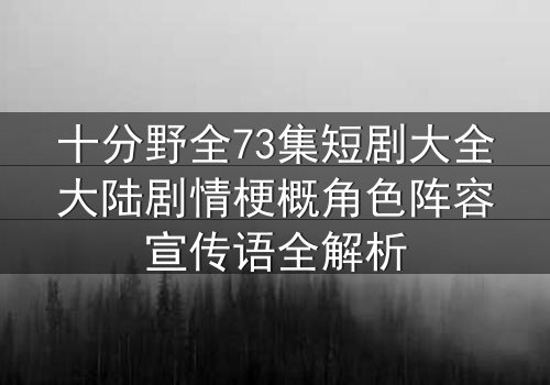 十分野全73集短剧大全大陆剧情梗概角色阵容宣传语全解析