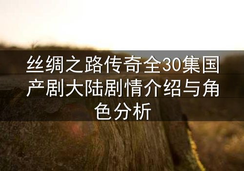 丝绸之路传奇全30集国产剧大陆剧情介绍与角色分析
