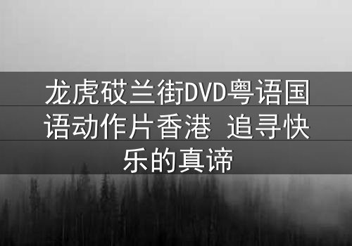 龙虎砹兰街DVD粤语国语动作片香港 追寻快乐的真谛