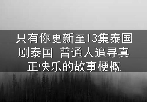 只有你更新至13集泰国剧泰国 普通人追寻真正快乐的故事梗概