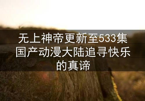 无上神帝更新至533集国产动漫大陆追寻快乐的真谛