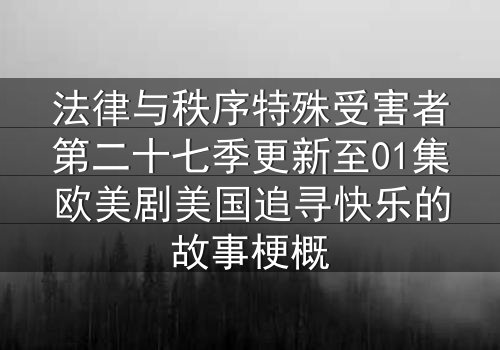 法律与秩序特殊受害者第二十七季更新至01集欧美剧美国追寻快乐的故事梗概