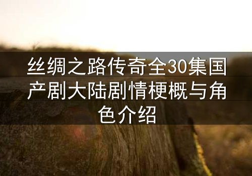 丝绸之路传奇全30集国产剧大陆剧情梗概与角色介绍