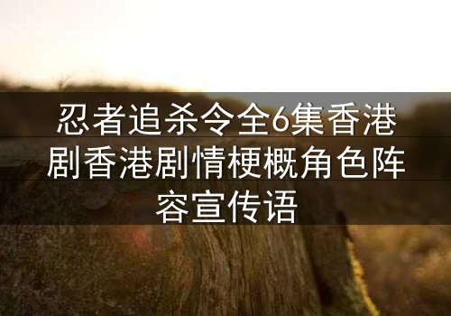 忍者追杀令全6集香港剧香港剧情梗概角色阵容宣传语