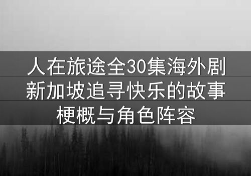 人在旅途全30集海外剧新加坡追寻快乐的故事梗概与角色阵容