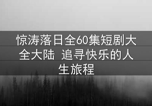 惊涛落日全60集短剧大全大陆 追寻快乐的人生旅程
