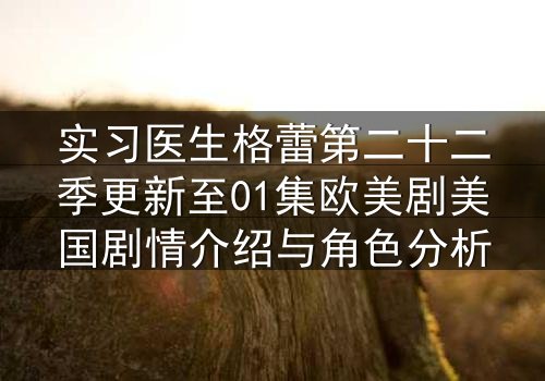实习医生格蕾第二十二季更新至01集欧美剧美国剧情介绍与角色分析