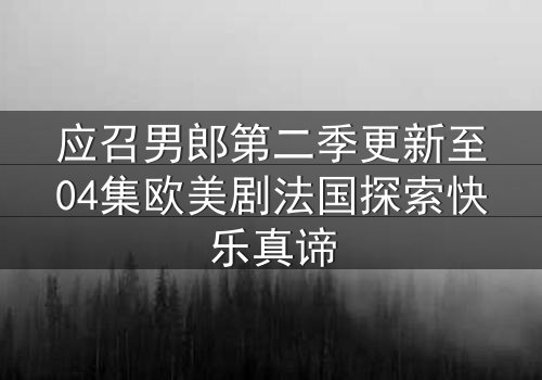 应召男郎第二季更新至04集欧美剧法国探索快乐真谛