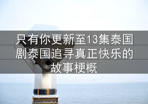 只有你更新至13集泰国剧泰国追寻真正快乐的故事梗概