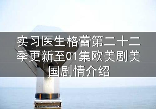 实习医生格蕾第二十二季更新至01集欧美剧美国剧情介绍