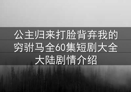 公主归来打脸背弃我的穷驸马全60集短剧大全大陆剧情介绍