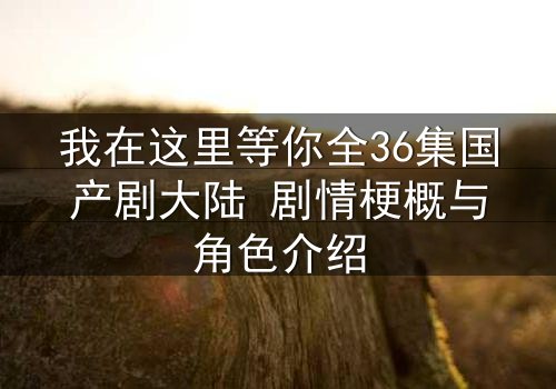 我在这里等你全36集国产剧大陆 剧情梗概与角色介绍