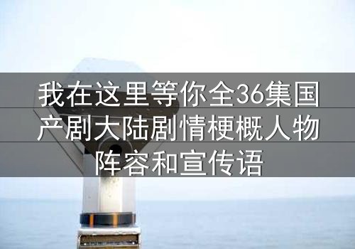 我在这里等你全36集国产剧大陆剧情梗概人物阵容和宣传语