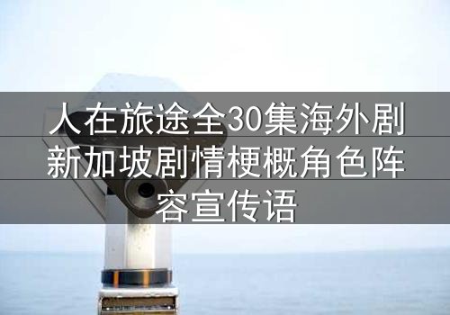 人在旅途全30集海外剧新加坡剧情梗概角色阵容宣传语