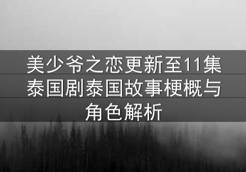 美少爷之恋更新至11集泰国剧泰国故事梗概与角色解析