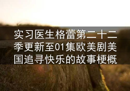 实习医生格蕾第二十二季更新至01集欧美剧美国追寻快乐的故事梗概