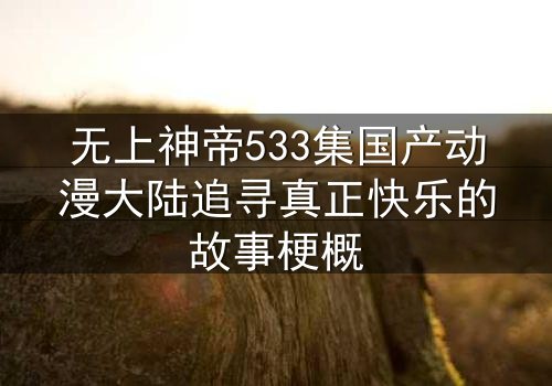 无上神帝533集国产动漫大陆追寻真正快乐的故事梗概