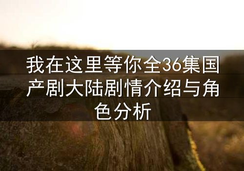 我在这里等你全36集国产剧大陆剧情介绍与角色分析