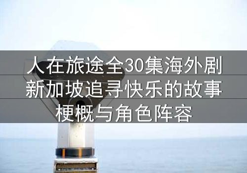 人在旅途全30集海外剧新加坡追寻快乐的故事梗概与角色阵容
