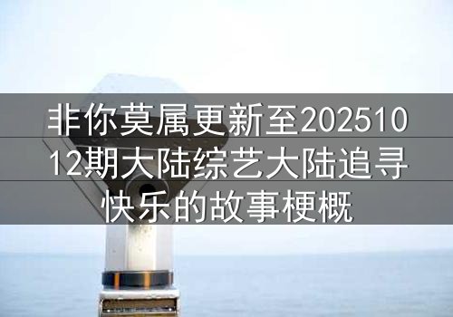 非你莫属更新至20251012期大陆综艺大陆追寻快乐的故事梗概