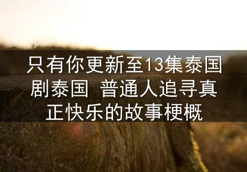 只有你更新至13集泰国剧泰国 普通人追寻真正快乐的故事梗概