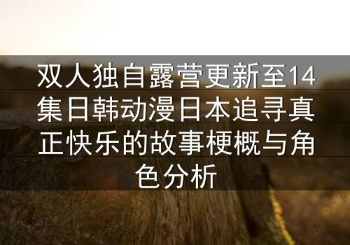 双人独自露营更新至14集日韩动漫日本追寻真正快乐的故事梗概与角色分析