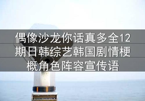 偶像沙龙你话真多全12期日韩综艺韩国剧情梗概角色阵容宣传语