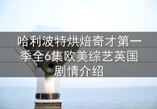 哈利波特烘焙奇才第一季全6集欧美综艺英国剧情介绍
