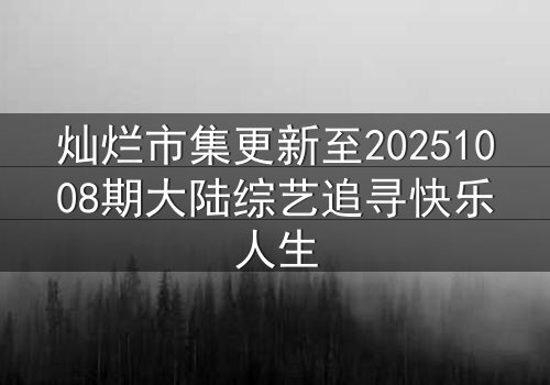 灿烂市集更新至20251008期大陆综艺追寻快乐人生