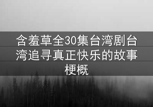 含羞草全30集台湾剧台湾追寻真正快乐的故事梗概