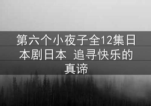第六个小夜子全12集日本剧日本 追寻快乐的真谛