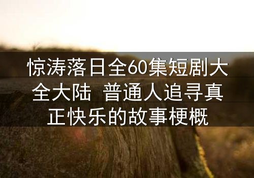 惊涛落日全60集短剧大全大陆 普通人追寻真正快乐的故事梗概