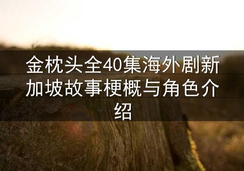 金枕头全40集海外剧新加坡故事梗概与角色介绍