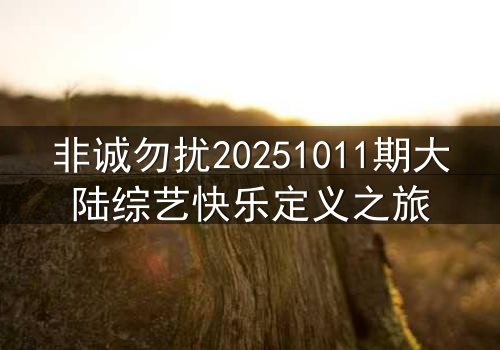 非诚勿扰20251011期大陆综艺快乐定义之旅