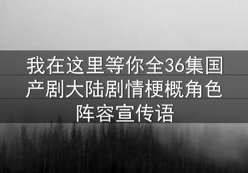 我在这里等你全36集国产剧大陆剧情梗概角色阵容宣传语