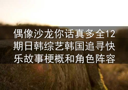 偶像沙龙你话真多全12期日韩综艺韩国追寻快乐故事梗概和角色阵容