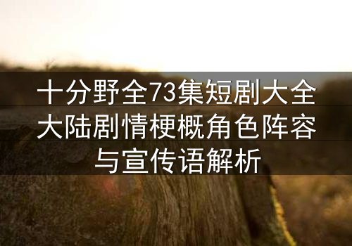 十分野全73集短剧大全大陆剧情梗概角色阵容与宣传语解析
