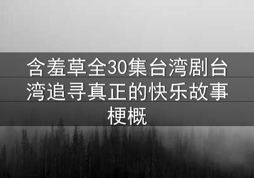 含羞草全30集台湾剧台湾追寻真正的快乐故事梗概