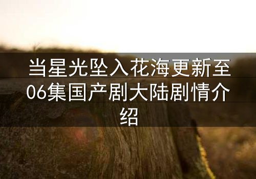 当星光坠入花海更新至06集国产剧大陆剧情介绍