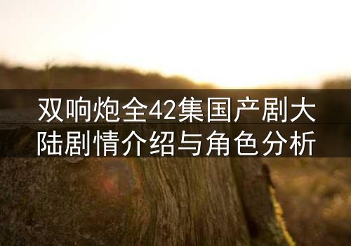 双响炮全42集国产剧大陆剧情介绍与角色分析
