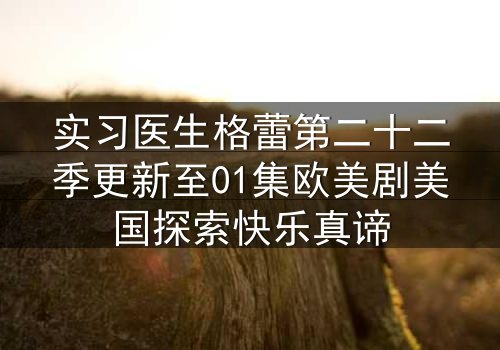 实习医生格蕾第二十二季更新至01集欧美剧美国探索快乐真谛