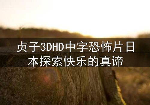 贞子3DHD中字恐怖片日本探索快乐的真谛