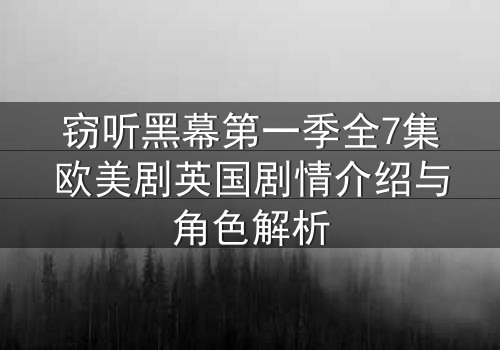 窃听黑幕第一季全7集欧美剧英国剧情介绍与角色解析