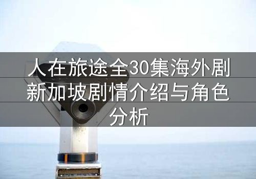 人在旅途全30集海外剧新加坡剧情介绍与角色分析