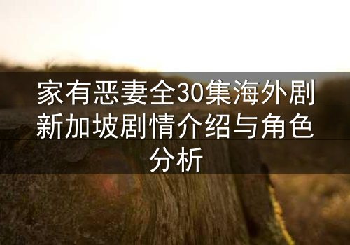 家有恶妻全30集海外剧新加坡剧情介绍与角色分析