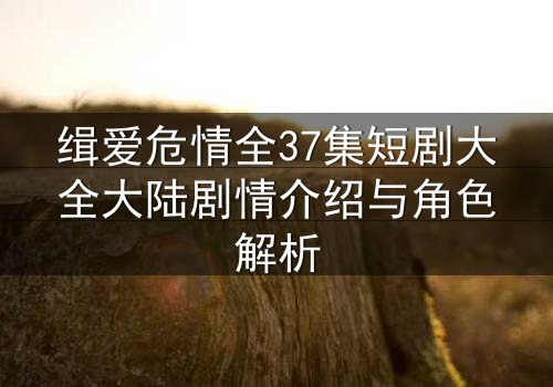 缉爱危情全37集短剧大全大陆剧情介绍与角色解析