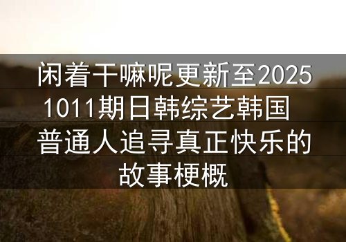 闲着干嘛呢更新至20251011期日韩综艺韩国 普通人追寻真正快乐的故事梗概