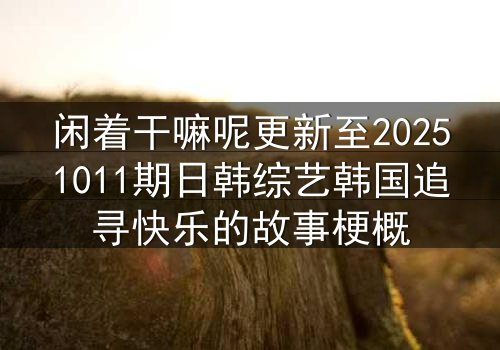 闲着干嘛呢更新至20251011期日韩综艺韩国追寻快乐的故事梗概
