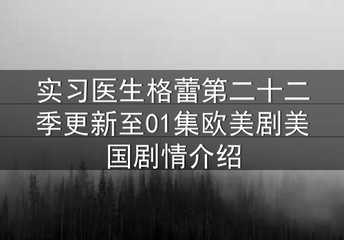 实习医生格蕾第二十二季更新至01集欧美剧美国剧情介绍